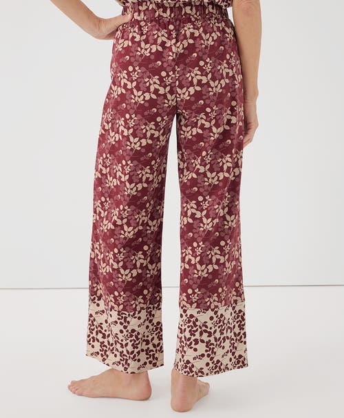 Shop Pact Organic Staycation Sleep Pant In Berry Sprigs