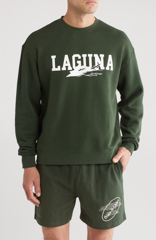 Laguna Crewneck Cotton Graphic Sweatshirt in Forest