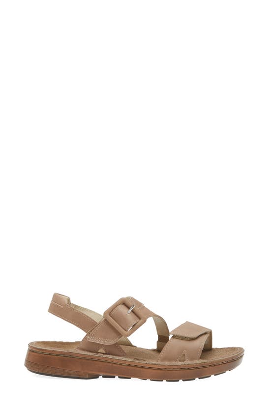 Shop Naot Castelo Sandal In Khaki Beige Leather