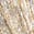 selected Silver/ Gold color