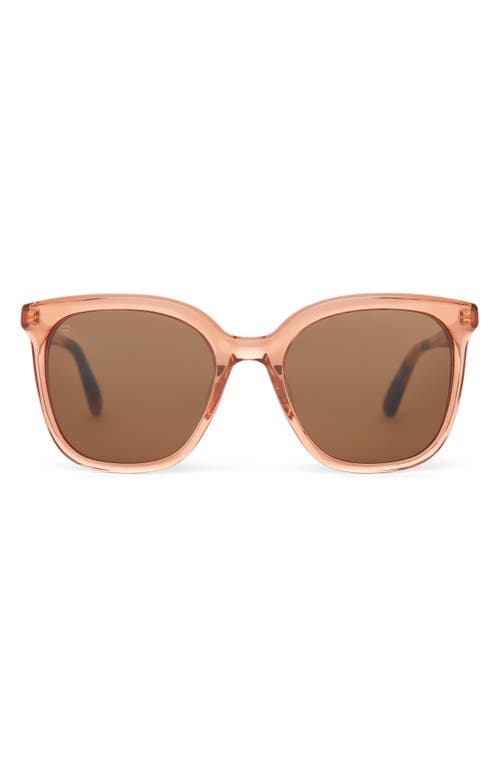 Toms Charmaine 54mm Square Sunglasses In Apricot Crystal/solid Brown