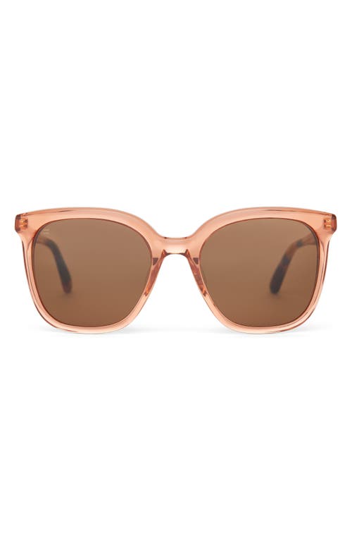 TOMS Charmaine 54mm Square Sunglasses in Apricot Crystal/Solid Brown 