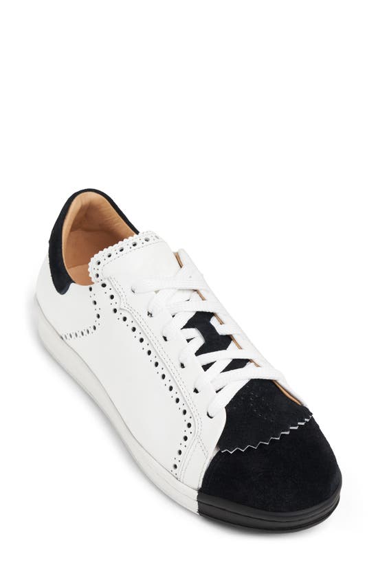 Shop The Office Of Angela Scott The Elliot Sneaker In Black