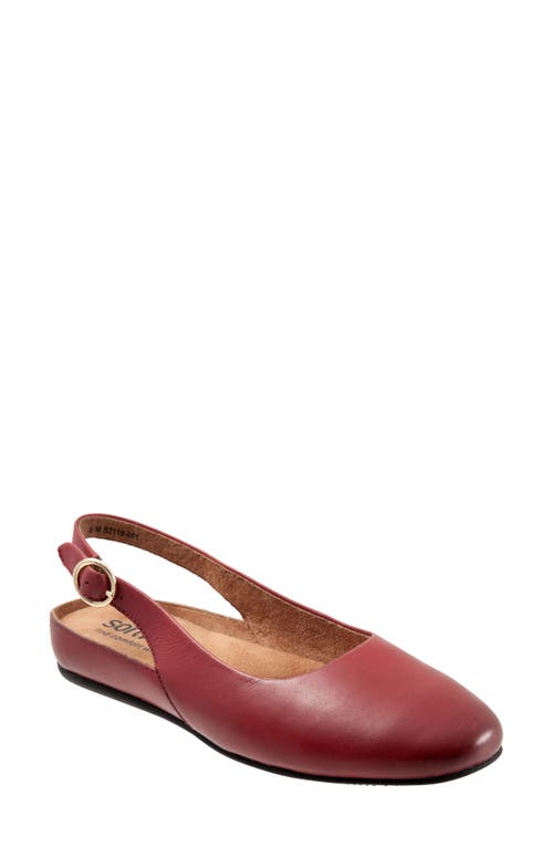 SoftWalk Sandy Slingback Flat Sandal in Dark Red Leather