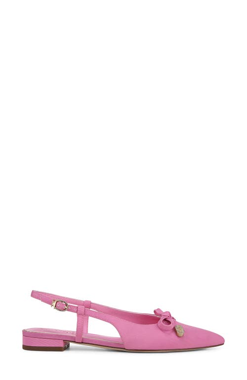 Shop Circus Ny By Sam Edelman Lafayette Pointed Toe Slingback Sandal In Pink Confetti