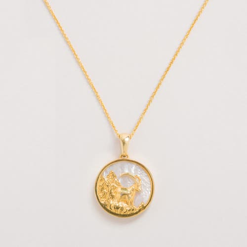 Freya Rose Zodiac Necklace In Capricorn
