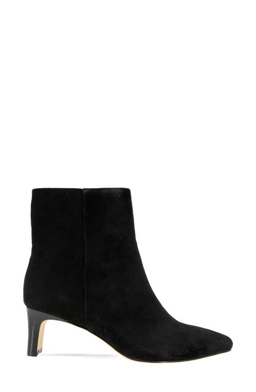 Andre Assous André Assous Winter Water Resistant Pointed Toe Bootie In Black Suede