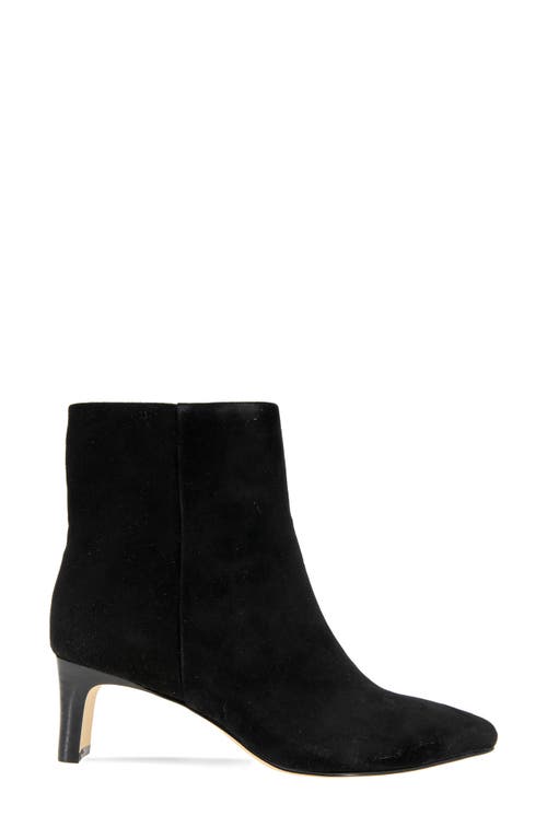 Shop Andre Assous André Assous Winter Water Resistant Pointed Toe Bootie In Black Suede