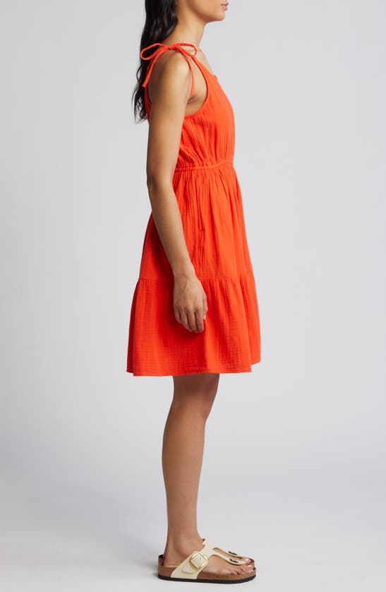 Shop Caslon (r) Tiered Cotton Gauze Sundress In Grenadine