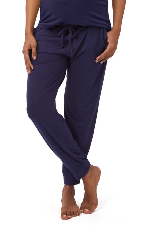 Stowaway Collection Maternity Lounge Pants in Navy at Nordstrom,  Medium