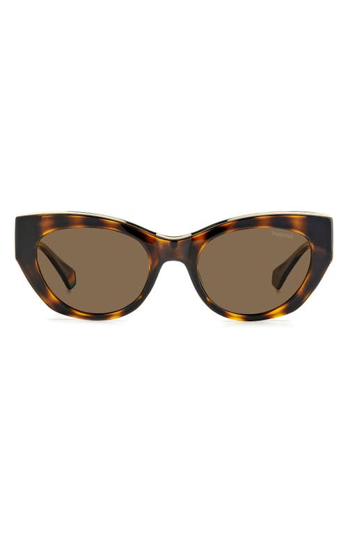 Polaroid 50mm Polarized Cat Eye Sunglasses In Brown