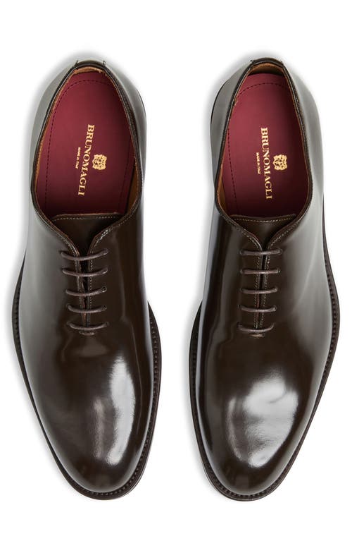 Bruno Magli Men's Metti Leather Oxford Dress Shoes In Brown