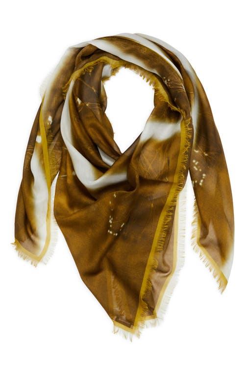 Shop Lafayette 148 New York Wild Desert Square Cotton & Silk Scarf In Green Yucca Multi