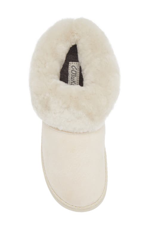 Shop Olukai Genuine Shearling Slipper In Puka/puka