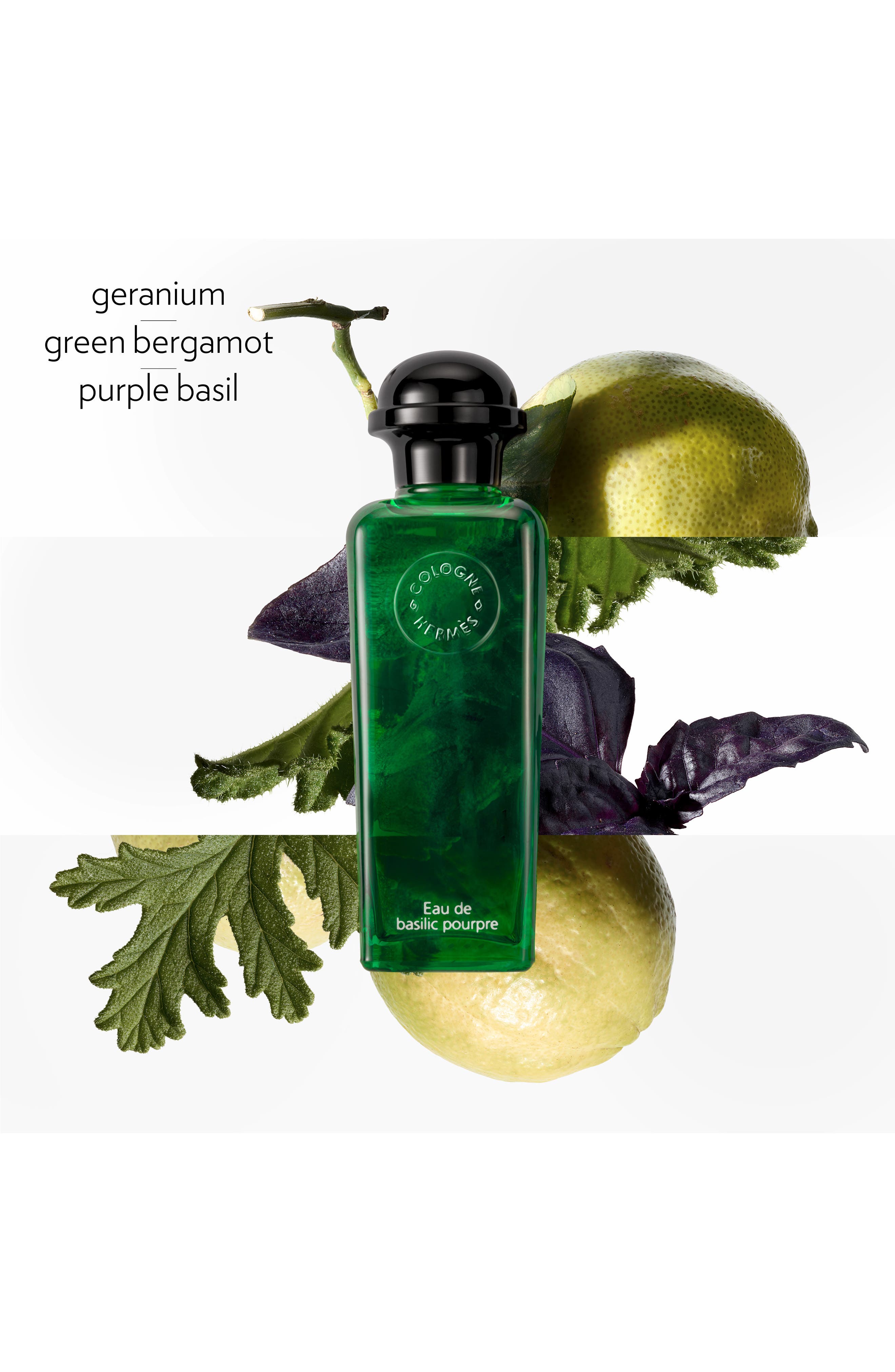 Hermès Eau de Basilic Pourpre - Eau de Cologne | Nordstrom