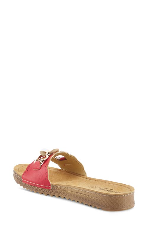 Shop Flexus By Spring Step Janey Slide Sandal In Red