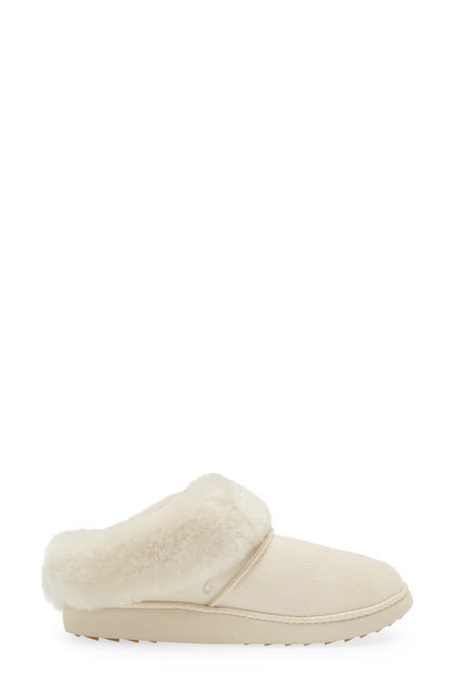 Shop Olukai Genuine Shearling Slipper In Puka/puka