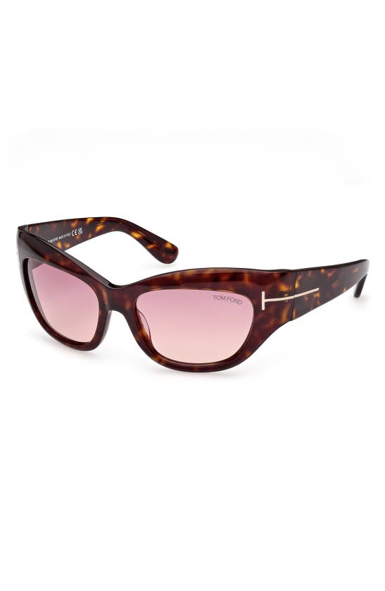 Shop Tom Ford Brianna 55mm Gradient Cat Eye Sunglasses In Classic Havana / Purple Pink