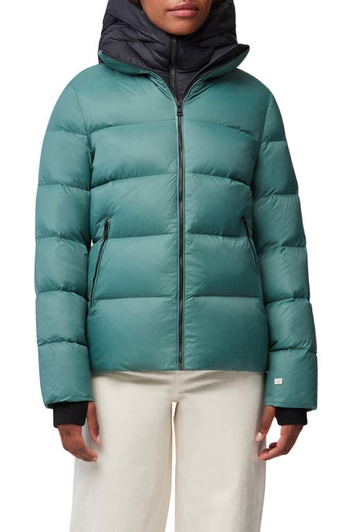 Cassia Water Repellent Hooded 750 Fill Power Down Coat in Spruce