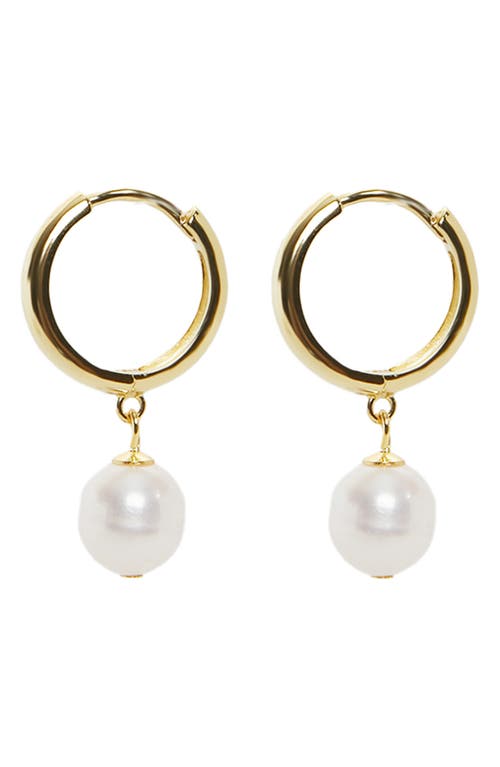 Argento Vivo Sterling Silver Freshwater Pearl Drop Huggie Hoop Earrings in Gold at Nordstrom