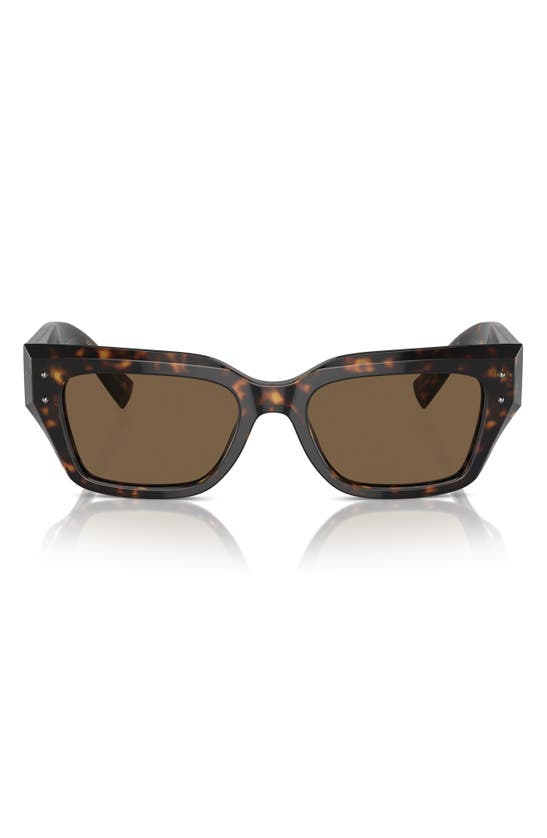 Shop Dolce & Gabbana Dolce&gabbana 52mm Cat Eye Sunglasses In Havana