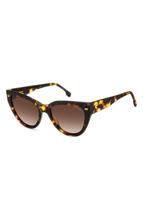 Carrera Eyewear 55mm Gradient Cat Eye Sunglasses In Havana/brown Gradient