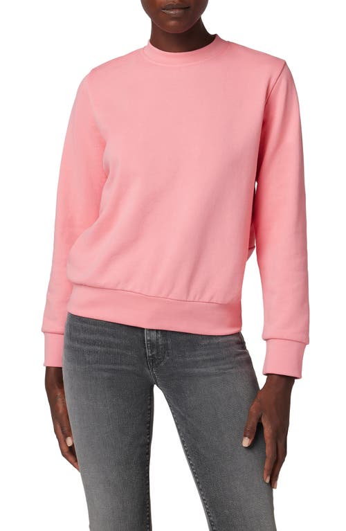 Knotted Cutout Back Cotton Sweatshirt in Flamingo Flume