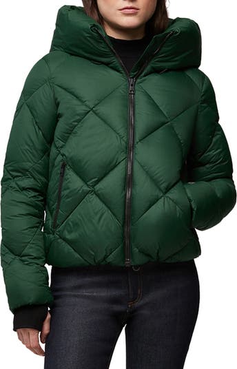 Mica Water Repellent 700 Fill Power Recycled Nylon Down Jacket