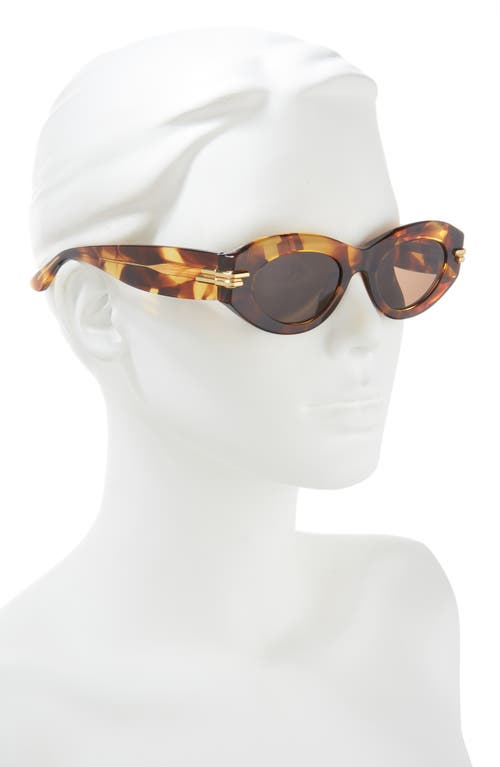 Shop Bottega Veneta 51mm Oval Sunglasses In Havana