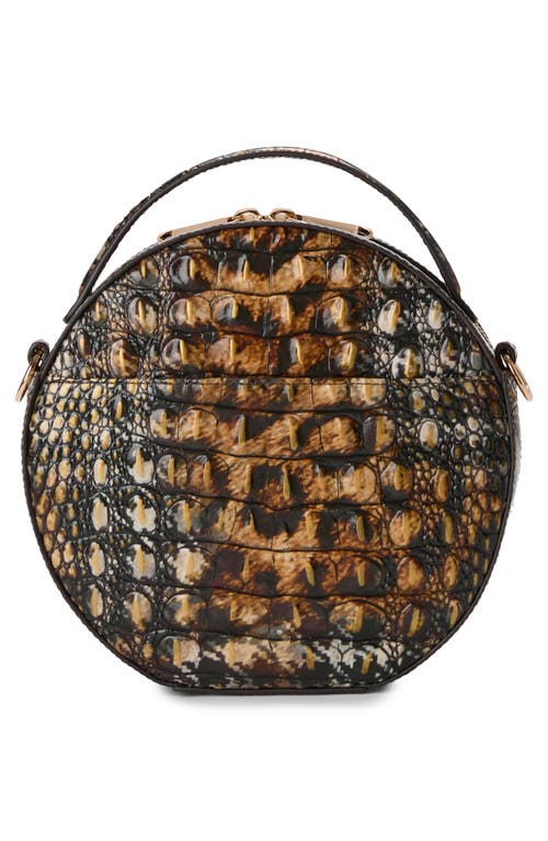 Shop Brahmin Lane Croc Embossed Leather Crossbody Bag In Untamed