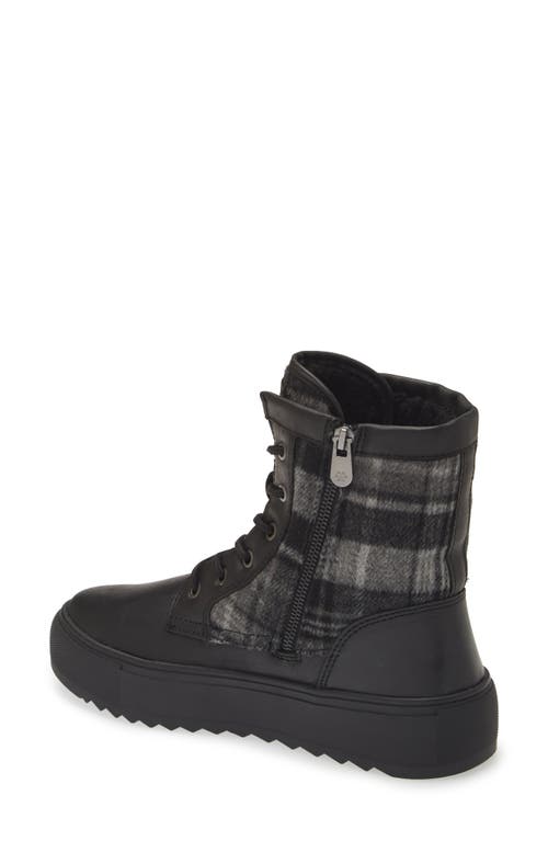 Cougar Apex Lace-up Boot In Black