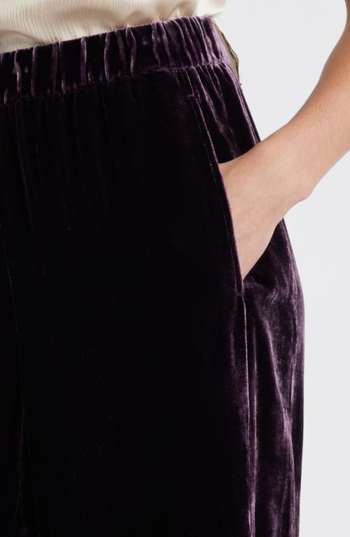 Shop Eileen Fisher Velvet Ankle Wide Leg Pants In Violet