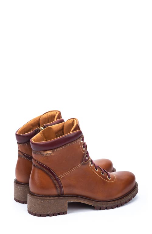 Pikolinos Aspe Bootie In Brandy