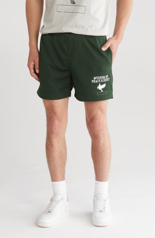 P. E. Mesh Shorts in Forest