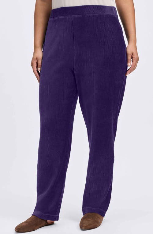 Foxcroft Caden Plush Corduroy Pants In Deep Purple