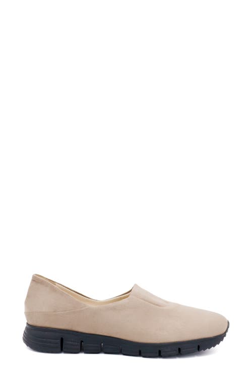 Shop Amalfi By Rangoni Jerry Slip-on Sneaker In Oat Pasha