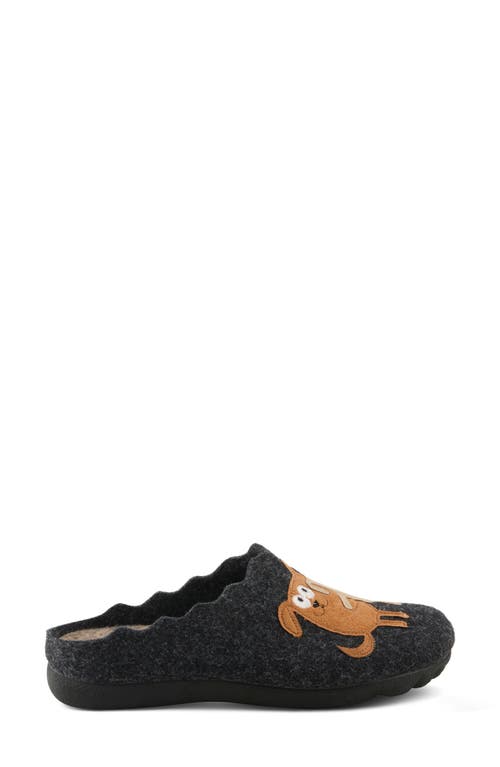 Flexus By Spring Step Petlove Slipper In Black Multi