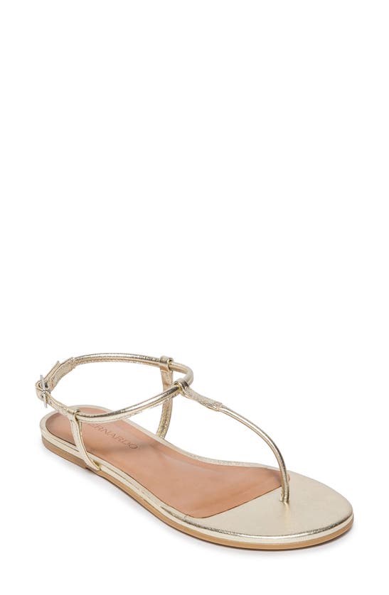 Shop Bernardo Footwear Haven Sandal In Champagne