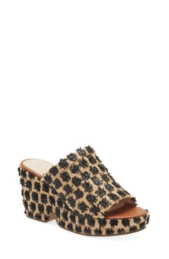 Cecelia New York Frost Wedge Slide Sandal In Canvas Black Floral