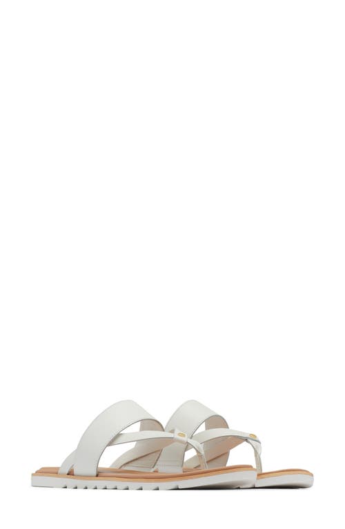 Sorel Ella Ii Strappy Slide Sandal In Sea Salt/gum 2