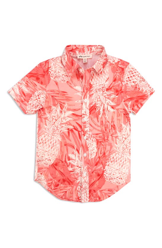 Appaman Kids' Day Party Short Sleeve Button-up Shirt In Coral Pineapples