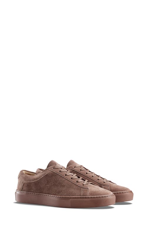 Koio Capri Sneaker in Truffle