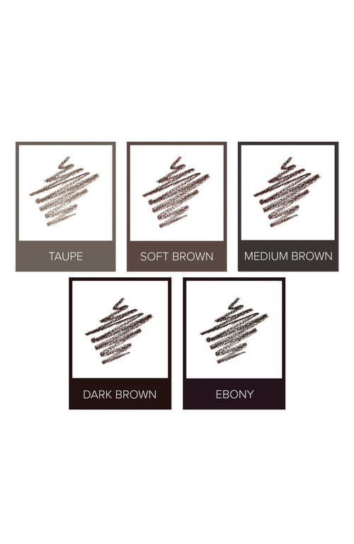 Shop Anastasia Beverly Hills Frozen & Fuller-looking Brow Trio $39 Value In Ebony