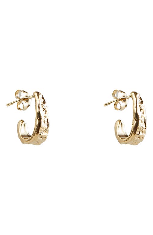 Molten J Hoop Earrings in Gold