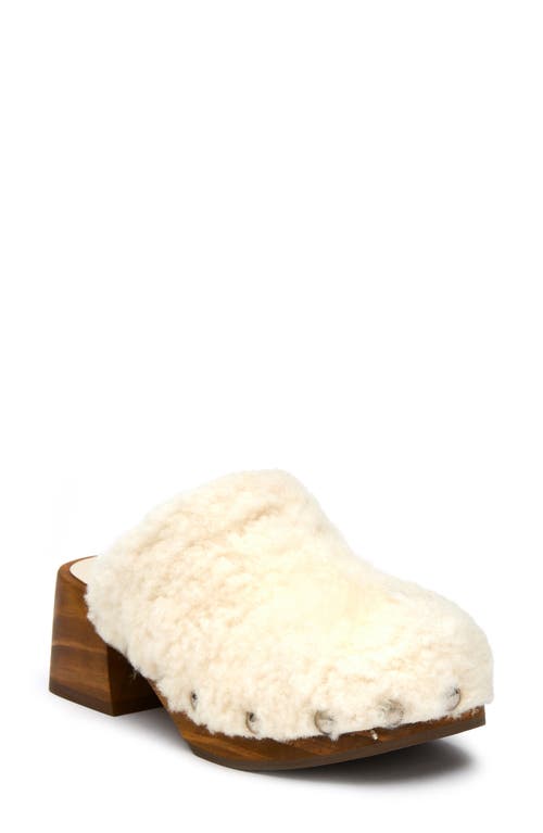 Matisse Stockholm Faux Shearling Clog in Ivory