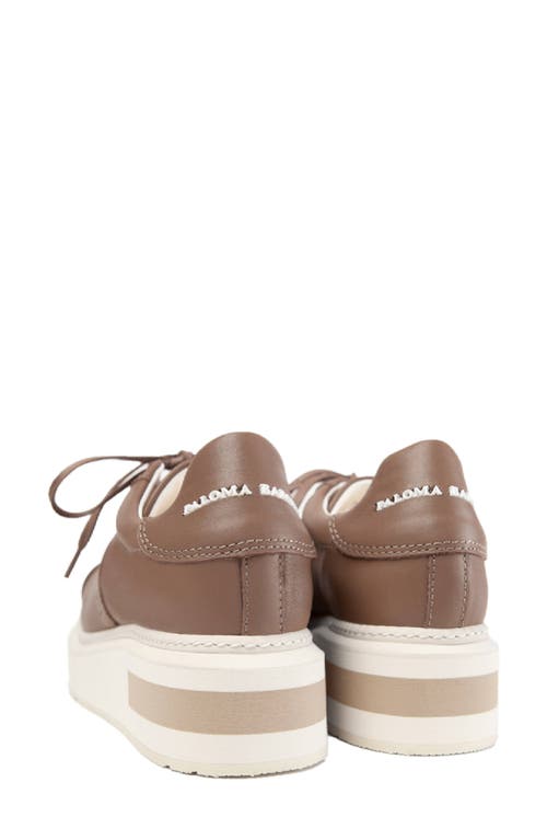 Shop Paloma Barceló Paloma Barcelo Agen Sneaker In Dark Beige/taupe