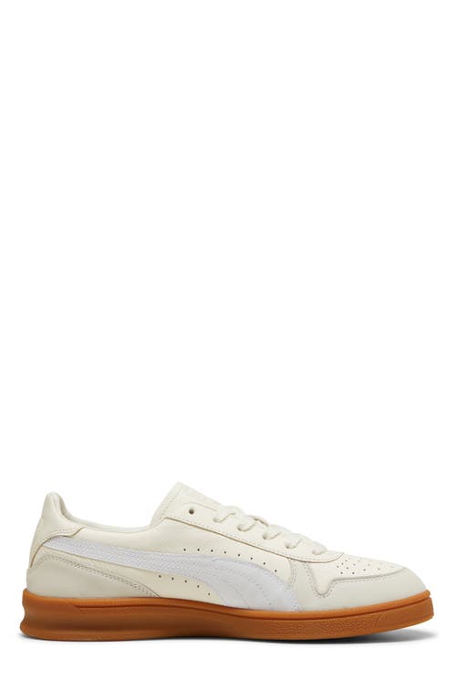 Shop Puma Indoor Og Sneaker In Frosted Ivory- White