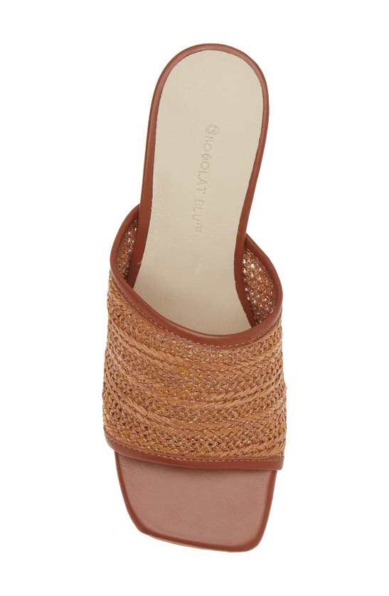 Chocolat Blu Delsy Slide Sandal In Brown