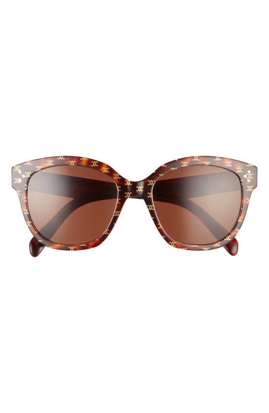 Celine 55mm Gradient Round Sunglasses In Brown