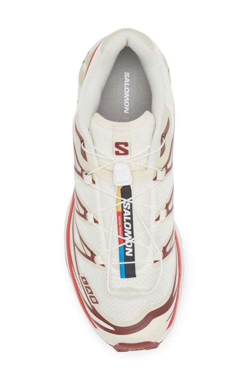 Salomon Sneakers Xt-6 Gtx In Vanilla Ice